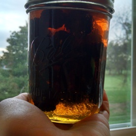 Honey blackberry ready for the fridge.