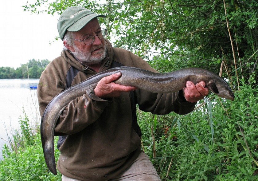 Although if I ever do fish for eels I'm totally holding it like a rifle like this badass. SOURCE: http://www.gofishing.co.uk/